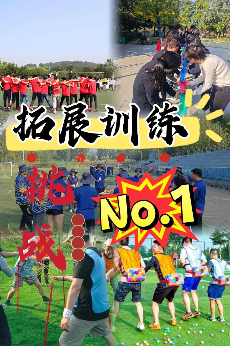 篮球培训:助力青少年健康成长的新天地